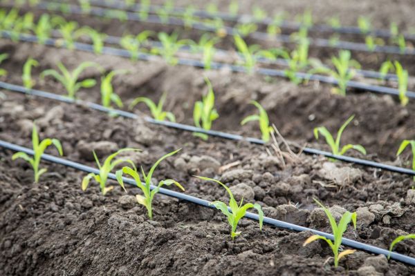 Irrigation System Repair - Irrigation System Repair Virginia Beach, Virginia