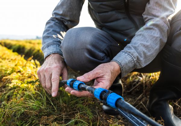 Sprinkler Line Repair - Sprinkler Line Repair Virginia Beach, Virginia